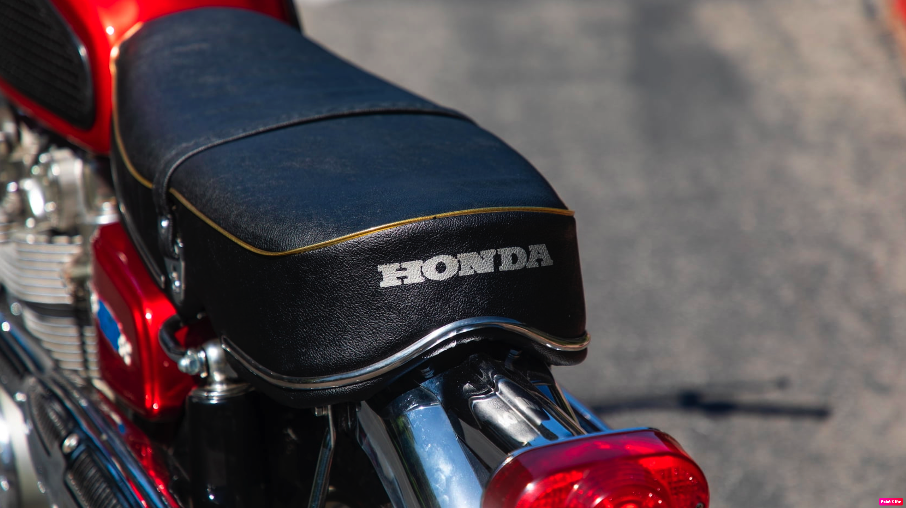 450D-closeup-rear-seat